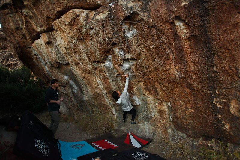 

Filename: SRM_20171228_1810100.jpg
Aperture: f/3.5
Shutter Speed: 1/250
Body: Canon EOS-1D Mark II
Lens: Canon EF 16-35mm f/2.8 L