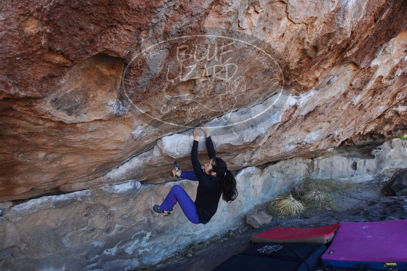 

Filename: SRM_20180105_1036300.jpg
Aperture: f/5.6
Shutter Speed: 1/250
Body: Canon EOS-1D Mark II
Lens: Canon EF 16-35mm f/2.8 L