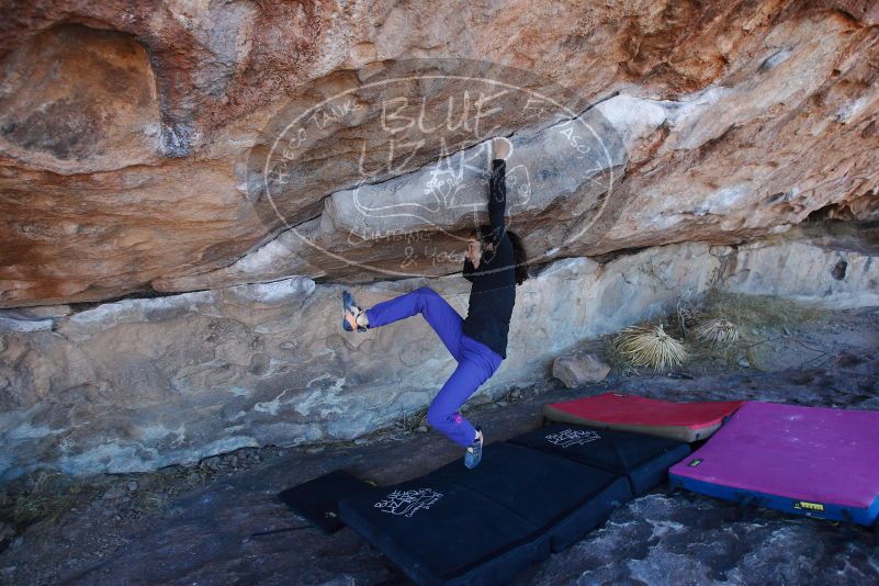 

Filename: SRM_20180105_1036400.jpg
Aperture: f/5.0
Shutter Speed: 1/250
Body: Canon EOS-1D Mark II
Lens: Canon EF 16-35mm f/2.8 L