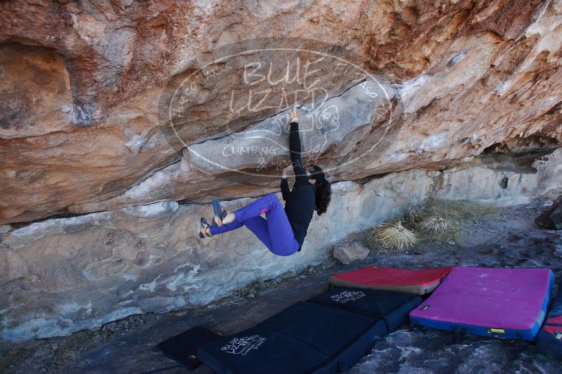 

Filename: SRM_20180105_1036401.jpg
Aperture: f/5.0
Shutter Speed: 1/250
Body: Canon EOS-1D Mark II
Lens: Canon EF 16-35mm f/2.8 L