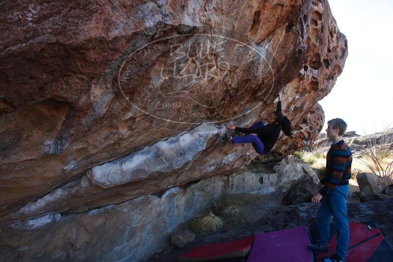 

Filename: SRM_20180105_1042240.jpg
Aperture: f/7.1
Shutter Speed: 1/250
Body: Canon EOS-1D Mark II
Lens: Canon EF 16-35mm f/2.8 L