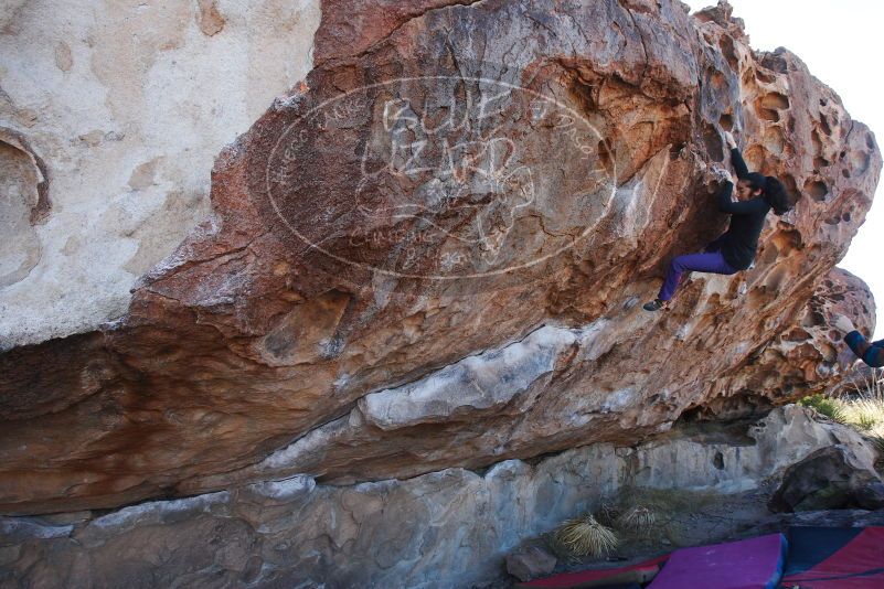 

Filename: SRM_20180105_1042460.jpg
Aperture: f/6.3
Shutter Speed: 1/250
Body: Canon EOS-1D Mark II
Lens: Canon EF 16-35mm f/2.8 L