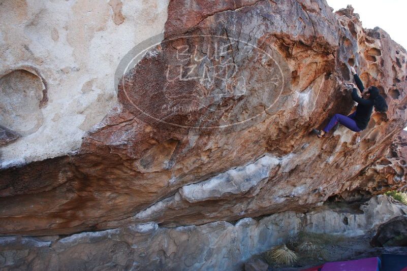 

Filename: SRM_20180105_1042480.jpg
Aperture: f/6.3
Shutter Speed: 1/250
Body: Canon EOS-1D Mark II
Lens: Canon EF 16-35mm f/2.8 L