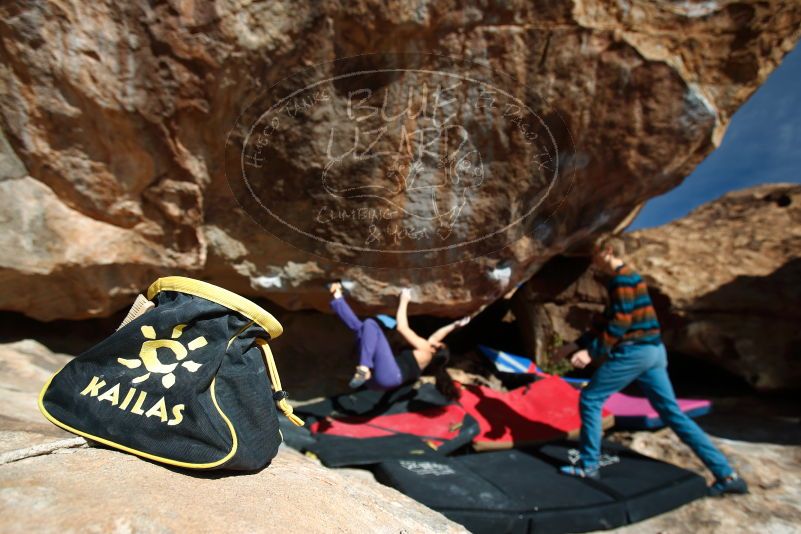 

Filename: SRM_20180105_1200130.jpg
Aperture: f/4.0
Shutter Speed: 1/200
Body: Canon EOS-1D Mark II
Lens: Canon EF 16-35mm f/2.8 L