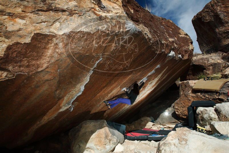 

Filename: SRM_20180105_1417240.jpg
Aperture: f/9.0
Shutter Speed: 1/320
Body: Canon EOS-1D Mark II
Lens: Canon EF 16-35mm f/2.8 L