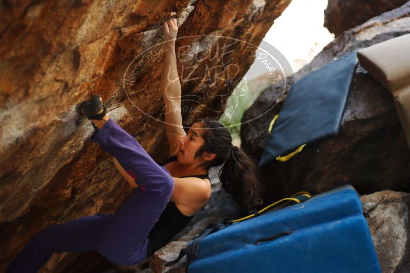 

Filename: SRM_20180105_1530210.jpg
Aperture: f/2.0
Shutter Speed: 1/1000
Body: Canon EOS-1D Mark II
Lens: Canon EF 50mm f/1.8 II