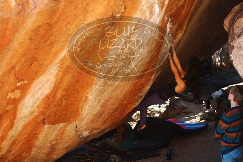 

Filename: SRM_20180105_1618500.jpg
Aperture: f/3.2
Shutter Speed: 1/250
Body: Canon EOS-1D Mark II
Lens: Canon EF 50mm f/1.8 II