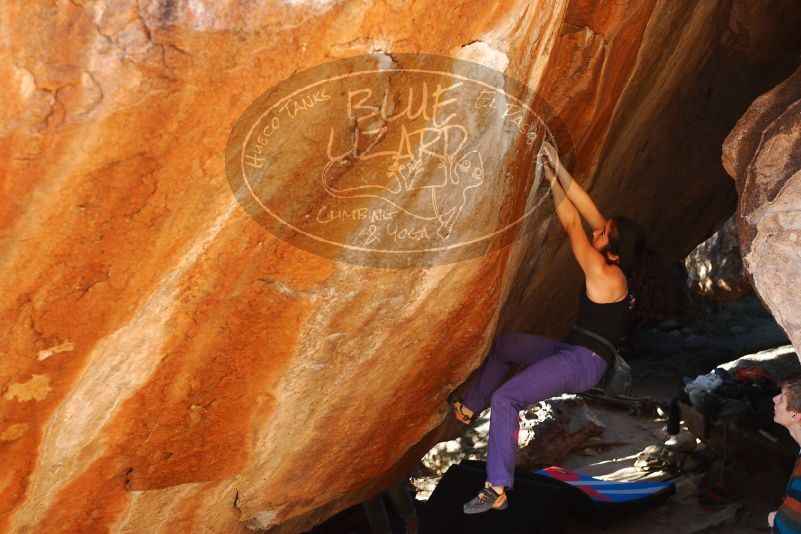 

Filename: SRM_20180105_1618580.jpg
Aperture: f/4.0
Shutter Speed: 1/250
Body: Canon EOS-1D Mark II
Lens: Canon EF 50mm f/1.8 II