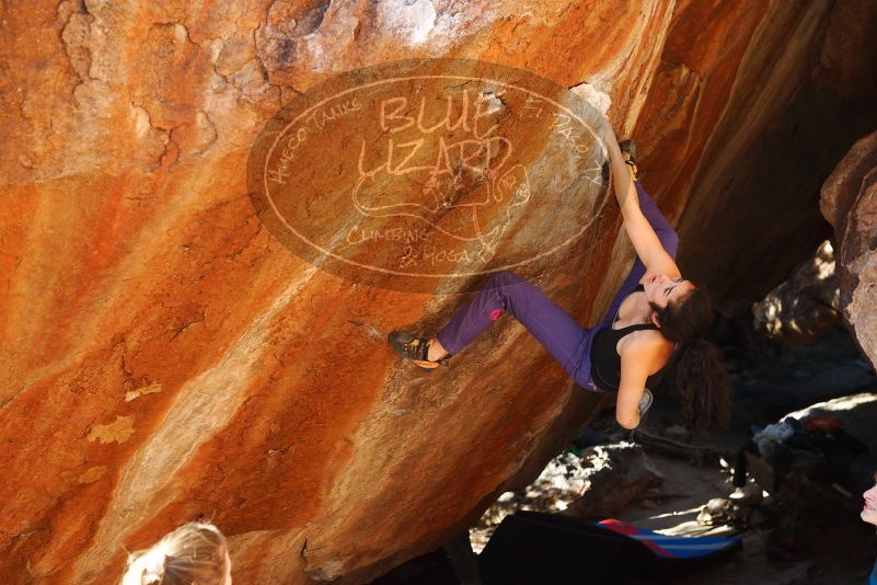 

Filename: SRM_20180105_1619420.jpg
Aperture: f/4.5
Shutter Speed: 1/250
Body: Canon EOS-1D Mark II
Lens: Canon EF 50mm f/1.8 II