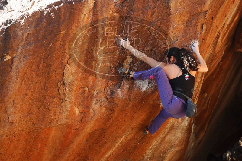 

Filename: SRM_20180105_1620191.jpg
Aperture: f/5.6
Shutter Speed: 1/250
Body: Canon EOS-1D Mark II
Lens: Canon EF 50mm f/1.8 II