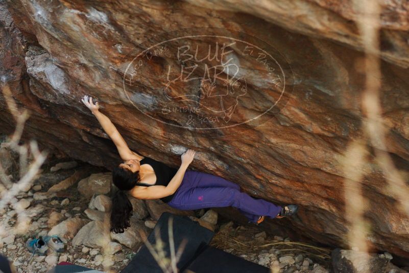 

Filename: SRM_20180105_1809410.jpg
Aperture: f/2.8
Shutter Speed: 1/200
Body: Canon EOS-1D Mark II
Lens: Canon EF 85mm f/1.2 L II