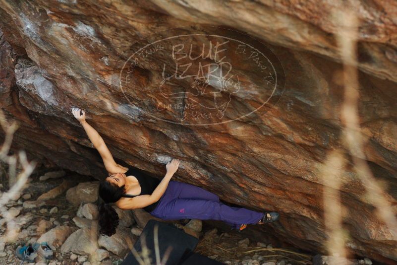 

Filename: SRM_20180105_1809412.jpg
Aperture: f/2.8
Shutter Speed: 1/250
Body: Canon EOS-1D Mark II
Lens: Canon EF 85mm f/1.2 L II