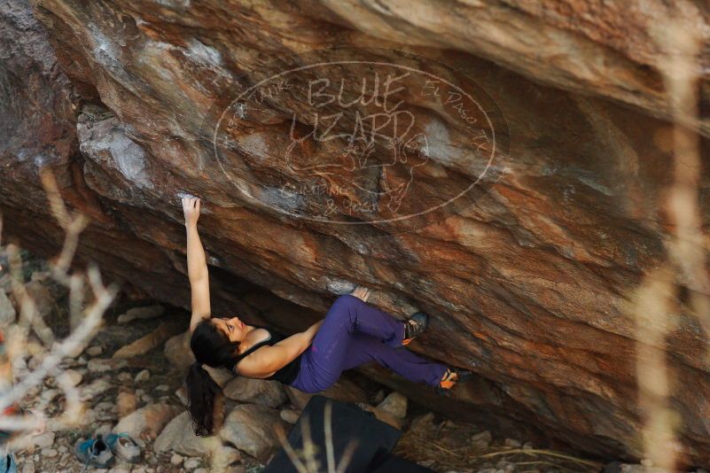 

Filename: SRM_20180105_1809450.jpg
Aperture: f/2.8
Shutter Speed: 1/250
Body: Canon EOS-1D Mark II
Lens: Canon EF 85mm f/1.2 L II