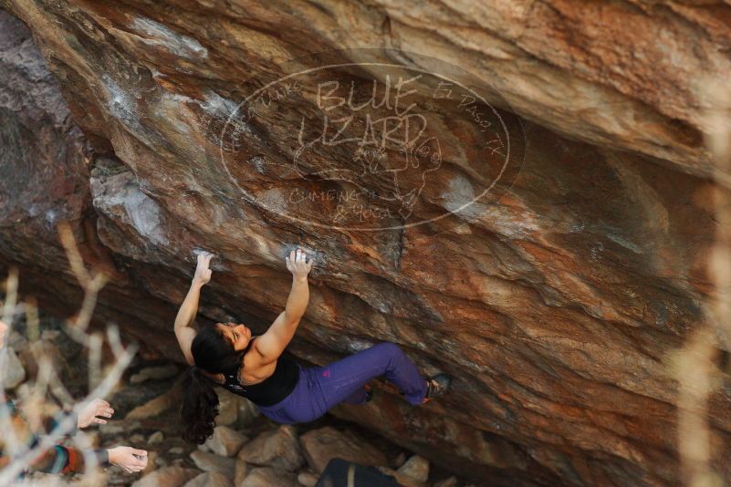 

Filename: SRM_20180105_1809471.jpg
Aperture: f/2.8
Shutter Speed: 1/250
Body: Canon EOS-1D Mark II
Lens: Canon EF 85mm f/1.2 L II