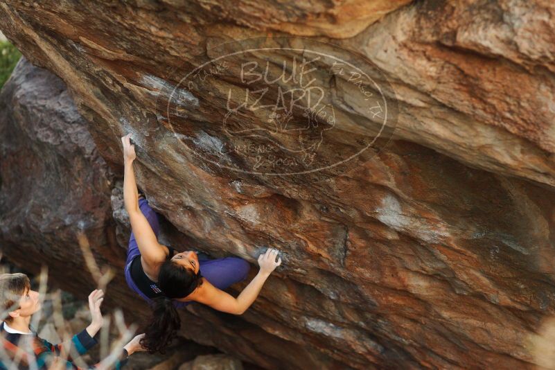 

Filename: SRM_20180105_1809590.jpg
Aperture: f/2.8
Shutter Speed: 1/250
Body: Canon EOS-1D Mark II
Lens: Canon EF 85mm f/1.2 L II