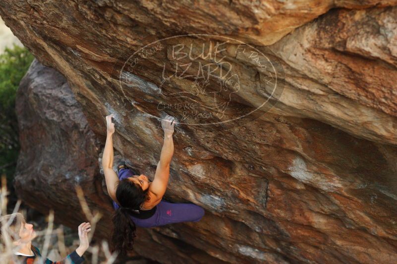 

Filename: SRM_20180105_1810011.jpg
Aperture: f/2.8
Shutter Speed: 1/250
Body: Canon EOS-1D Mark II
Lens: Canon EF 85mm f/1.2 L II