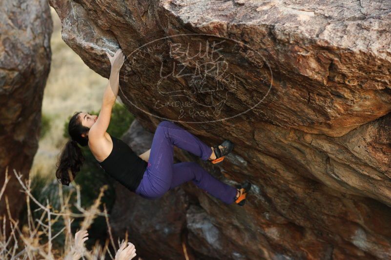 

Filename: SRM_20180105_1810260.jpg
Aperture: f/2.8
Shutter Speed: 1/400
Body: Canon EOS-1D Mark II
Lens: Canon EF 85mm f/1.2 L II