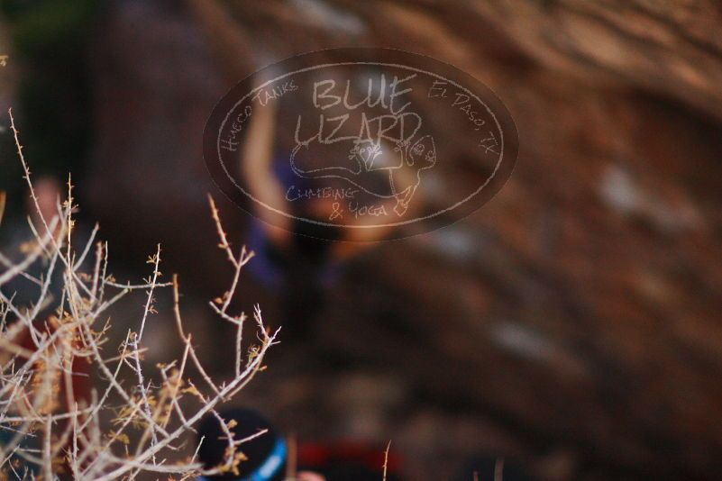 

Filename: SRM_20180105_1830370.jpg
Aperture: f/1.4
Shutter Speed: 1/160
Body: Canon EOS-1D Mark II
Lens: Canon EF 85mm f/1.2 L II