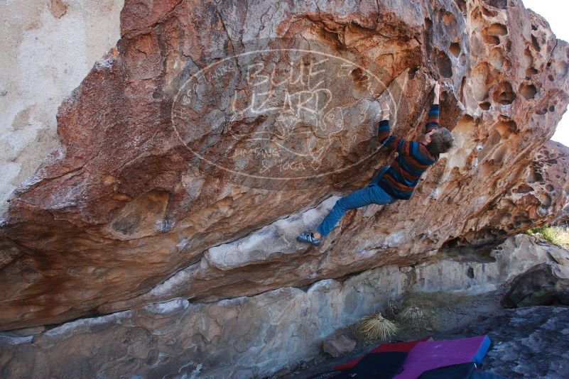 

Filename: SRM_20180105_1055120.jpg
Aperture: f/6.3
Shutter Speed: 1/250
Body: Canon EOS-1D Mark II
Lens: Canon EF 16-35mm f/2.8 L