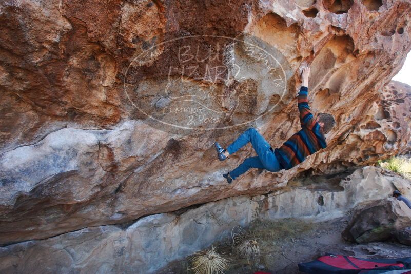 

Filename: SRM_20180105_1107530.jpg
Aperture: f/6.3
Shutter Speed: 1/250
Body: Canon EOS-1D Mark II
Lens: Canon EF 16-35mm f/2.8 L