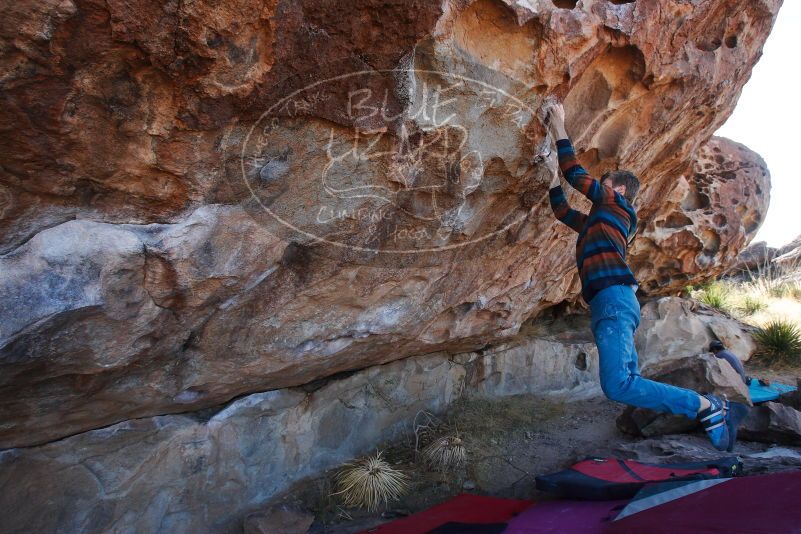 

Filename: SRM_20180105_1107540.jpg
Aperture: f/7.1
Shutter Speed: 1/250
Body: Canon EOS-1D Mark II
Lens: Canon EF 16-35mm f/2.8 L