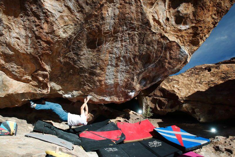 

Filename: SRM_20180105_1202410.jpg
Aperture: f/4.5
Shutter Speed: 1/250
Body: Canon EOS-1D Mark II
Lens: Canon EF 16-35mm f/2.8 L