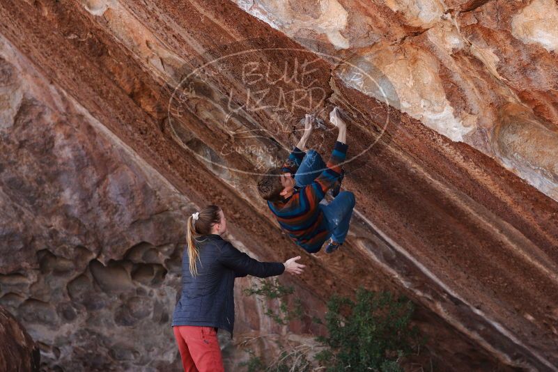 

Filename: SRM_20180105_1301050.jpg
Aperture: f/4.0
Shutter Speed: 1/640
Body: Canon EOS-1D Mark II
Lens: Canon EF 85mm f/1.2 L II