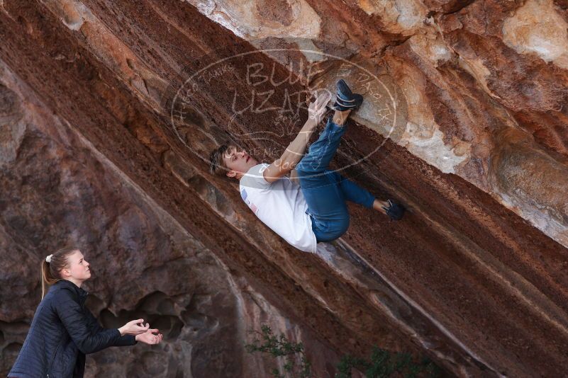 

Filename: SRM_20180105_1312070.jpg
Aperture: f/4.0
Shutter Speed: 1/800
Body: Canon EOS-1D Mark II
Lens: Canon EF 85mm f/1.2 L II