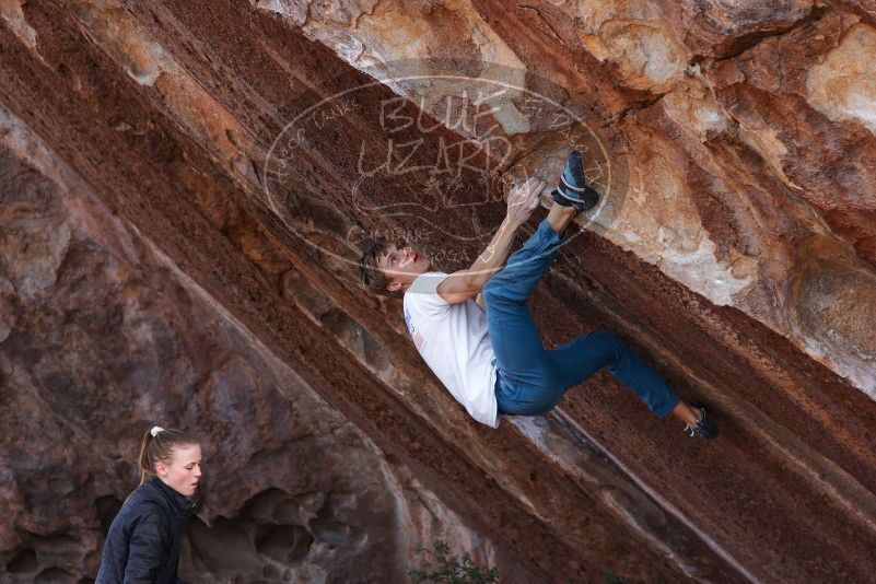 

Filename: SRM_20180105_1312071.jpg
Aperture: f/4.0
Shutter Speed: 1/800
Body: Canon EOS-1D Mark II
Lens: Canon EF 85mm f/1.2 L II