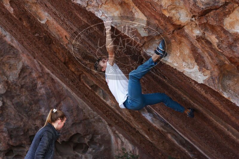 

Filename: SRM_20180105_1312080.jpg
Aperture: f/4.0
Shutter Speed: 1/800
Body: Canon EOS-1D Mark II
Lens: Canon EF 85mm f/1.2 L II