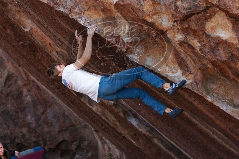 

Filename: SRM_20180105_1312131.jpg
Aperture: f/4.0
Shutter Speed: 1/800
Body: Canon EOS-1D Mark II
Lens: Canon EF 85mm f/1.2 L II