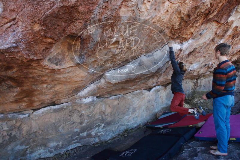 

Filename: SRM_20180105_1048540.jpg
Aperture: f/5.6
Shutter Speed: 1/250
Body: Canon EOS-1D Mark II
Lens: Canon EF 16-35mm f/2.8 L