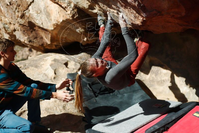 

Filename: SRM_20180105_1144330.jpg
Aperture: f/2.8
Shutter Speed: 1/4000
Body: Canon EOS-1D Mark II
Lens: Canon EF 50mm f/1.8 II