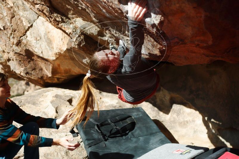 

Filename: SRM_20180105_1144361.jpg
Aperture: f/2.8
Shutter Speed: 1/2500
Body: Canon EOS-1D Mark II
Lens: Canon EF 50mm f/1.8 II