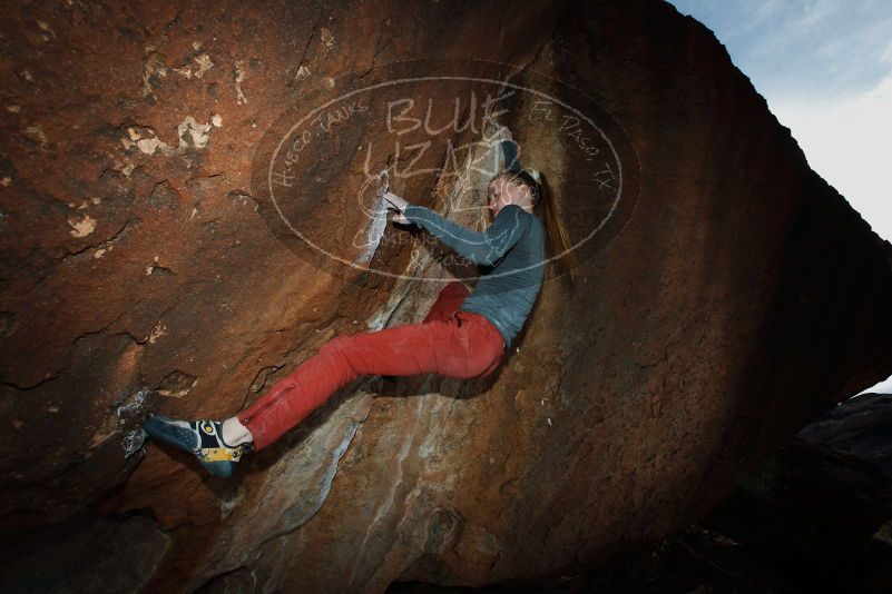 

Filename: SRM_20180105_1511290.jpg
Aperture: f/8.0
Shutter Speed: 1/250
Body: Canon EOS-1D Mark II
Lens: Canon EF 16-35mm f/2.8 L