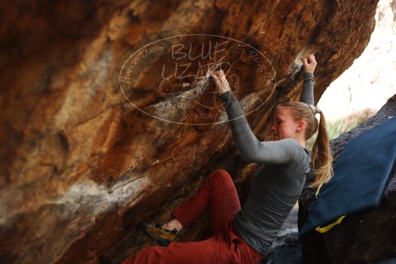 

Filename: SRM_20180105_1532190.jpg
Aperture: f/2.0
Shutter Speed: 1/400
Body: Canon EOS-1D Mark II
Lens: Canon EF 50mm f/1.8 II