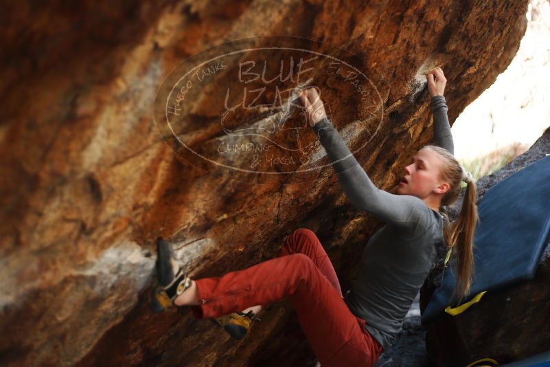 

Filename: SRM_20180105_1532200.jpg
Aperture: f/2.0
Shutter Speed: 1/320
Body: Canon EOS-1D Mark II
Lens: Canon EF 50mm f/1.8 II