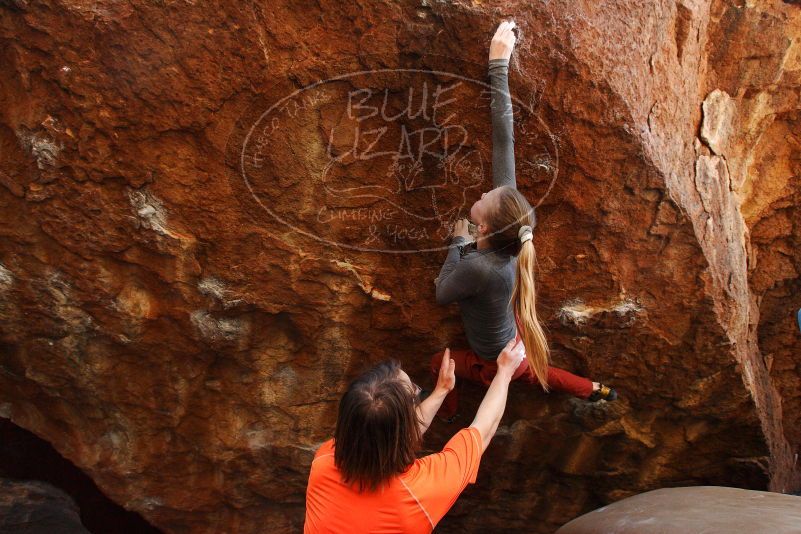 

Filename: SRM_20180105_1543320.jpg
Aperture: f/6.3
Shutter Speed: 1/250
Body: Canon EOS-1D Mark II
Lens: Canon EF 16-35mm f/2.8 L