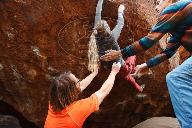 

Filename: SRM_20180105_1550331.jpg
Aperture: f/5.6
Shutter Speed: 1/250
Body: Canon EOS-1D Mark II
Lens: Canon EF 16-35mm f/2.8 L