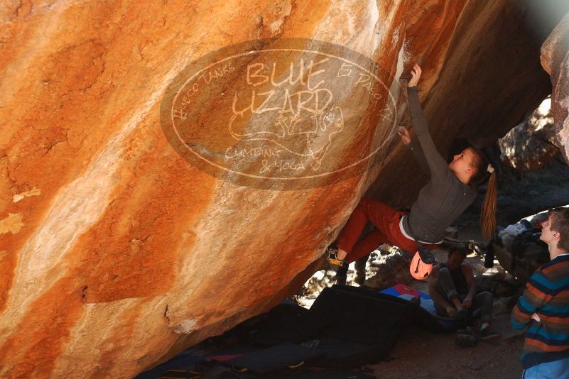 

Filename: SRM_20180105_1613570.jpg
Aperture: f/5.6
Shutter Speed: 1/250
Body: Canon EOS-1D Mark II
Lens: Canon EF 50mm f/1.8 II