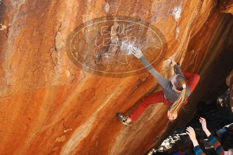 

Filename: SRM_20180105_1614382.jpg
Aperture: f/5.0
Shutter Speed: 1/250
Body: Canon EOS-1D Mark II
Lens: Canon EF 50mm f/1.8 II