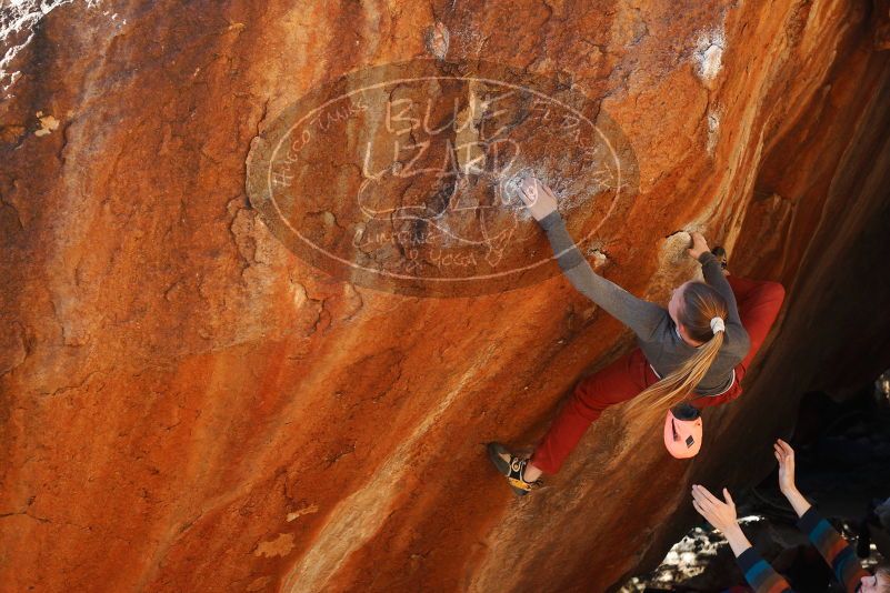 

Filename: SRM_20180105_1614400.jpg
Aperture: f/5.6
Shutter Speed: 1/250
Body: Canon EOS-1D Mark II
Lens: Canon EF 50mm f/1.8 II