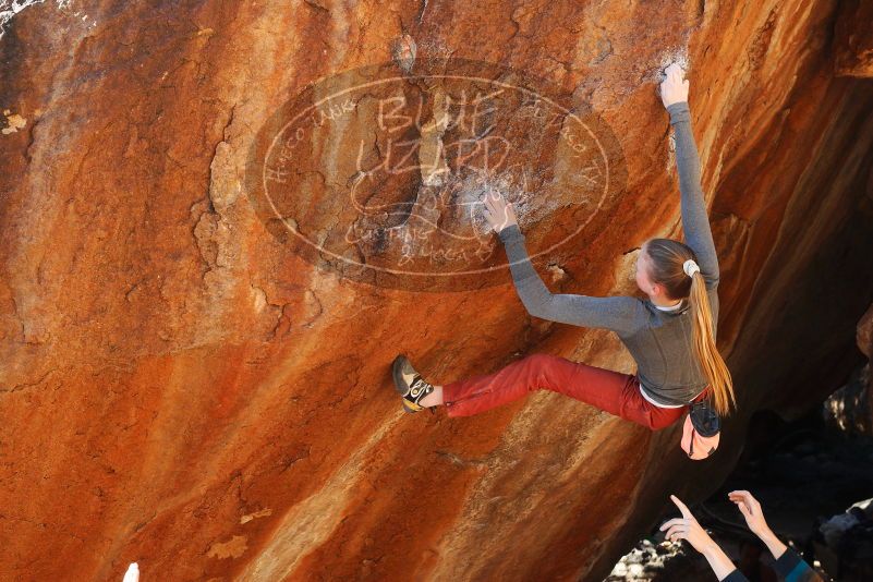 

Filename: SRM_20180105_1614470.jpg
Aperture: f/5.6
Shutter Speed: 1/250
Body: Canon EOS-1D Mark II
Lens: Canon EF 50mm f/1.8 II