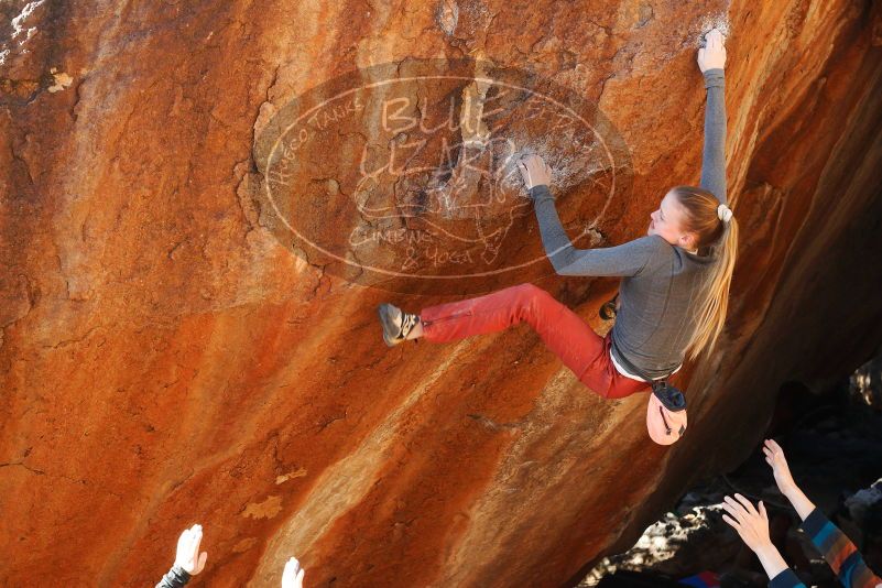 

Filename: SRM_20180105_1614515.jpg
Aperture: f/5.6
Shutter Speed: 1/250
Body: Canon EOS-1D Mark II
Lens: Canon EF 50mm f/1.8 II