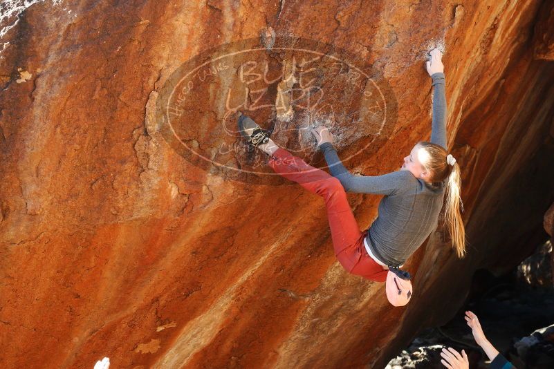 

Filename: SRM_20180105_1614522.jpg
Aperture: f/5.6
Shutter Speed: 1/250
Body: Canon EOS-1D Mark II
Lens: Canon EF 50mm f/1.8 II