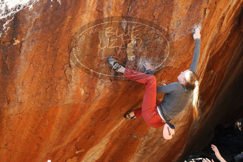 

Filename: SRM_20180105_1614531.jpg
Aperture: f/5.6
Shutter Speed: 1/250
Body: Canon EOS-1D Mark II
Lens: Canon EF 50mm f/1.8 II