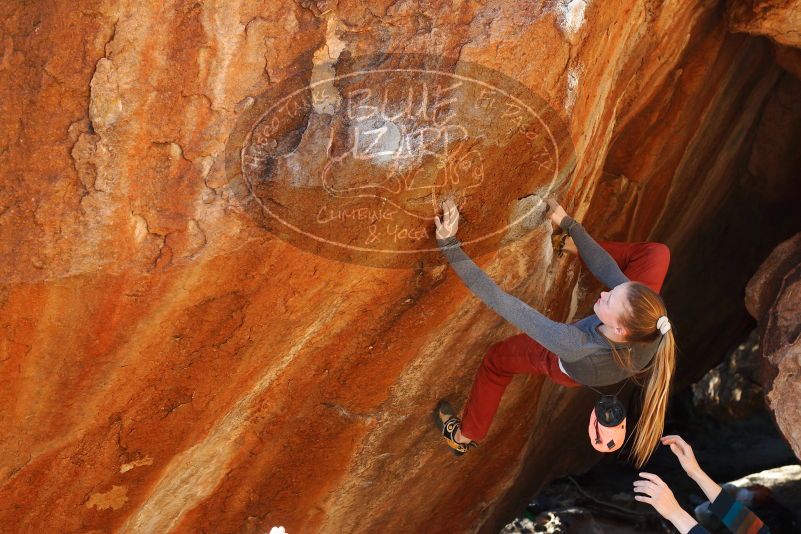 

Filename: SRM_20180105_1624150.jpg
Aperture: f/4.5
Shutter Speed: 1/250
Body: Canon EOS-1D Mark II
Lens: Canon EF 50mm f/1.8 II