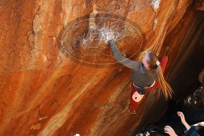 

Filename: SRM_20180105_1624160.jpg
Aperture: f/5.0
Shutter Speed: 1/250
Body: Canon EOS-1D Mark II
Lens: Canon EF 50mm f/1.8 II