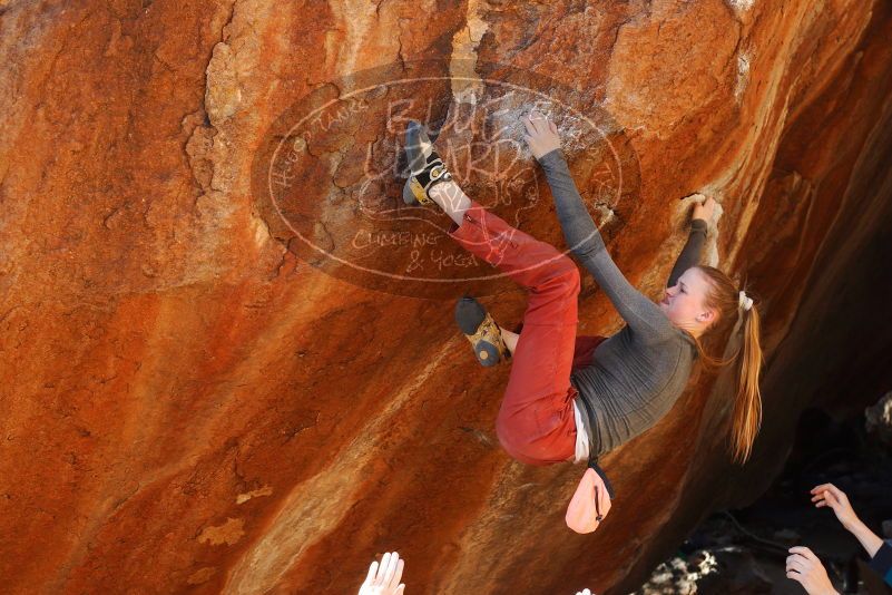 

Filename: SRM_20180105_1624221.jpg
Aperture: f/5.0
Shutter Speed: 1/250
Body: Canon EOS-1D Mark II
Lens: Canon EF 50mm f/1.8 II