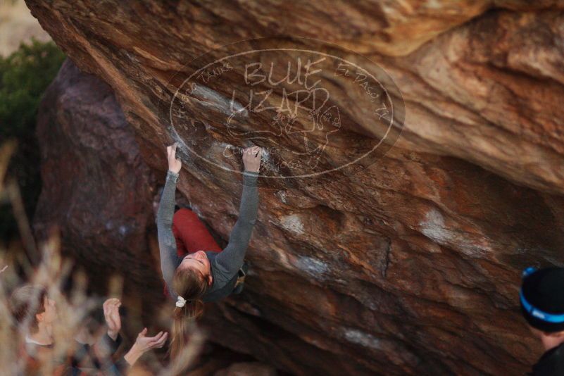 

Filename: SRM_20180105_1829350.jpg
Aperture: f/1.4
Shutter Speed: 1/160
Body: Canon EOS-1D Mark II
Lens: Canon EF 85mm f/1.2 L II